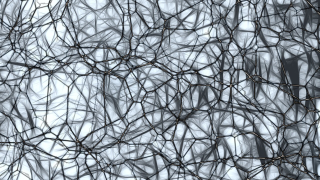 Hold Up, Maybe Our Brains Actually Can Grow Back Neurons